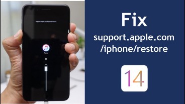 apple support iphone